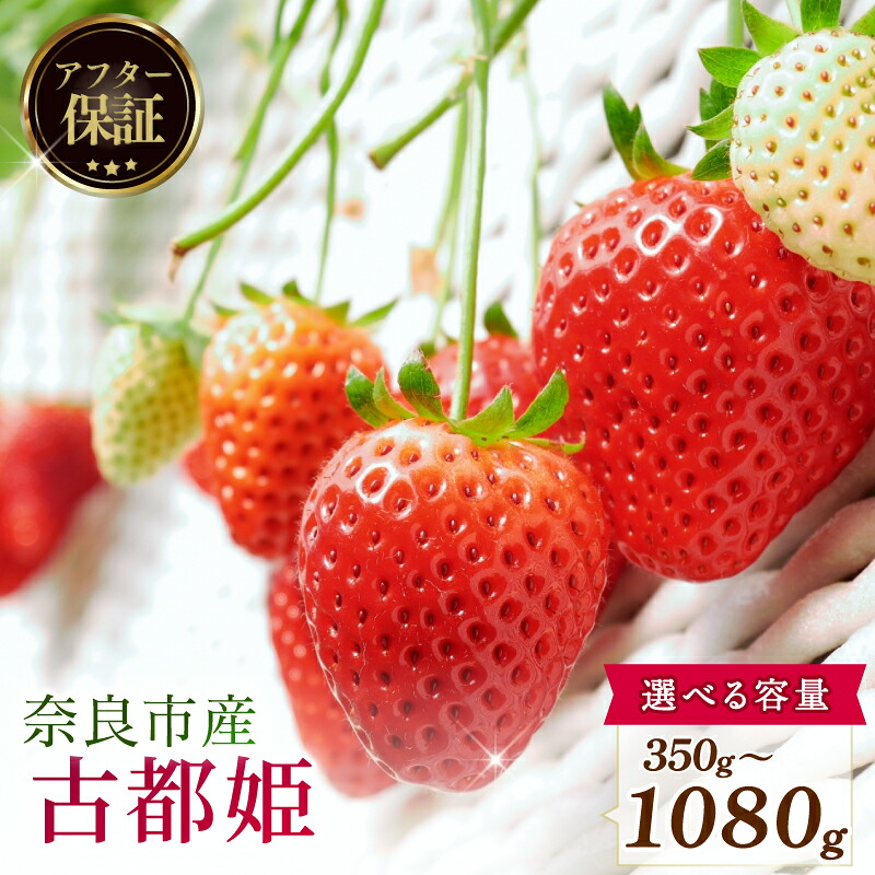 【数量限定】 2027年発送 苺 いちご 古都姫 約350 (1パック) 約540g (約270g×2パック) 約1080g (約270g×4パック) ゆりかーご 冷蔵 小分け 果物 スイーツ