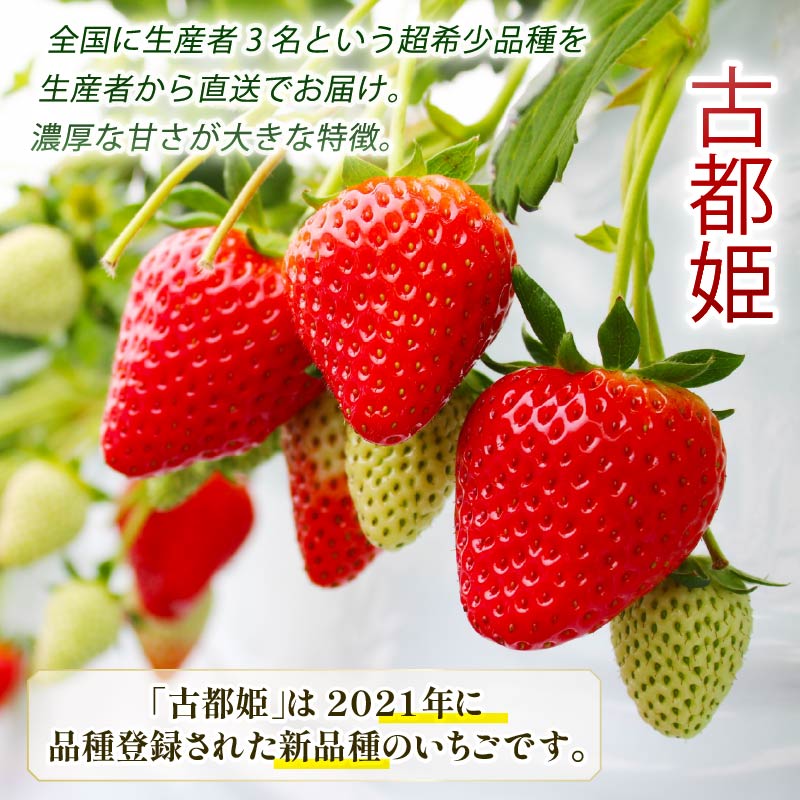 【数量限定】 2027年発送 苺 いちご 古都姫 約350 (1パック) 約540g (約270g×2パック) 約1080g (約270g×4パック) ゆりかーご 冷蔵 小分け 果物 スイーツ