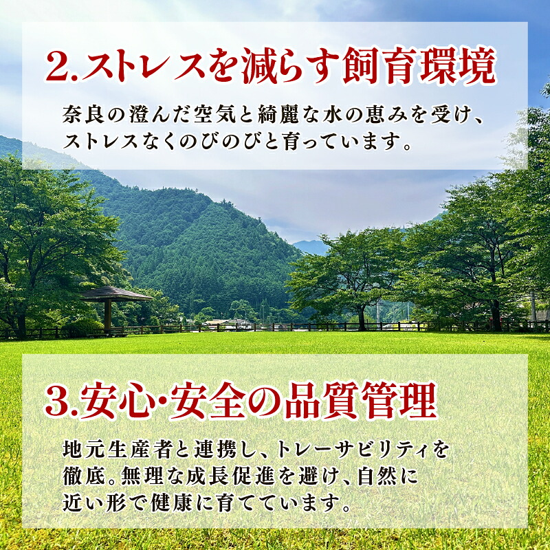 豚肉ロース 1kg 切り落とし 豚肉  豚ロース 国産 豚 ポーク 切落し 豚肉切り落とし 豚肉人気 豚肉おすすめ 豚肉返礼品 国産豚肉 国産豚 小分け 冷蔵 チルド配送 ヤマトポーク ポークロース