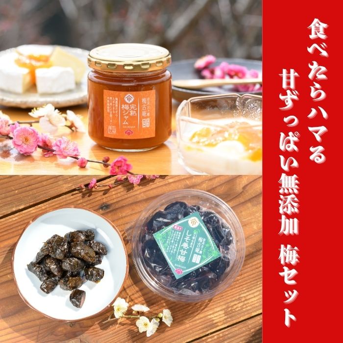 食べたらハマる 甘ずっぱい無添加梅セット