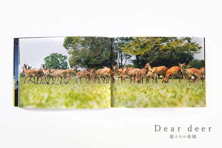 奈良の鹿 写真集「Dear deer 鹿たちの楽園」シカ しか 奈良公園 奈良県 奈良市 J-63