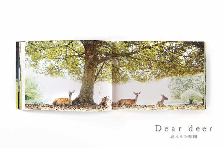 奈良の鹿 写真集「Dear deer 鹿たちの楽園」シカ しか 奈良公園 奈良県 奈良市 J-63