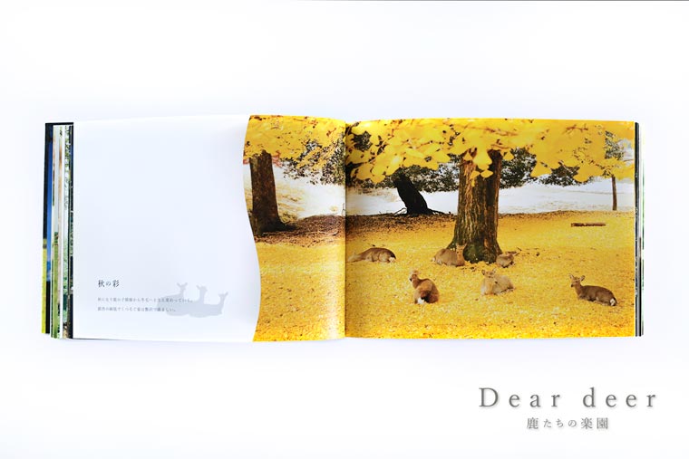 奈良の鹿 写真集「Dear deer 鹿たちの楽園」シカ しか 奈良公園 奈良県 奈良市 J-63