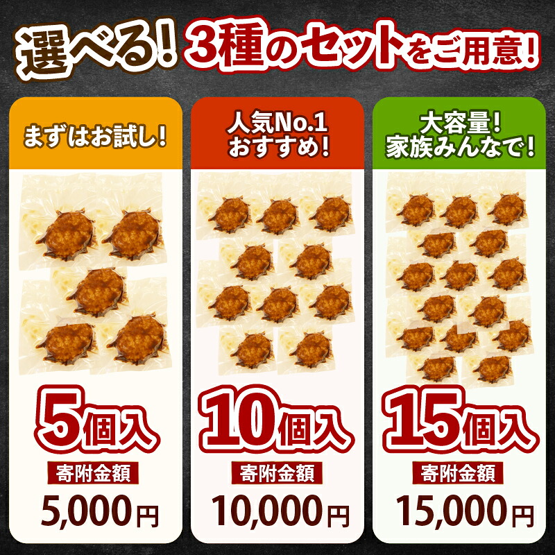 【 毎月 数量限定 / 選べる 容量 】 ハンバーグ 個包装 特製 デミグラス 5個 10個 15個 500g 1kg 1.5kg ソース タレ 小分け ハンバーグ 湯煎 簡単 調理 冷凍 お弁当