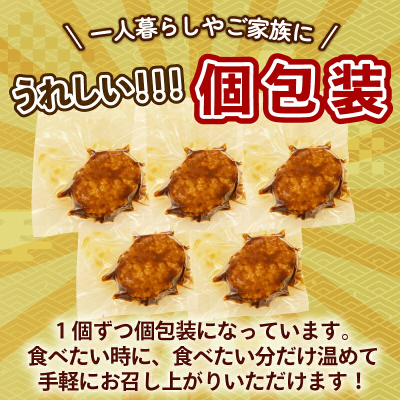 【 毎月 数量限定 / 選べる 容量 】 ハンバーグ 個包装 特製 デミグラス 5個 10個 15個 500g 1kg 1.5kg ソース タレ 小分け ハンバーグ 湯煎 簡単 調理 冷凍 お弁当