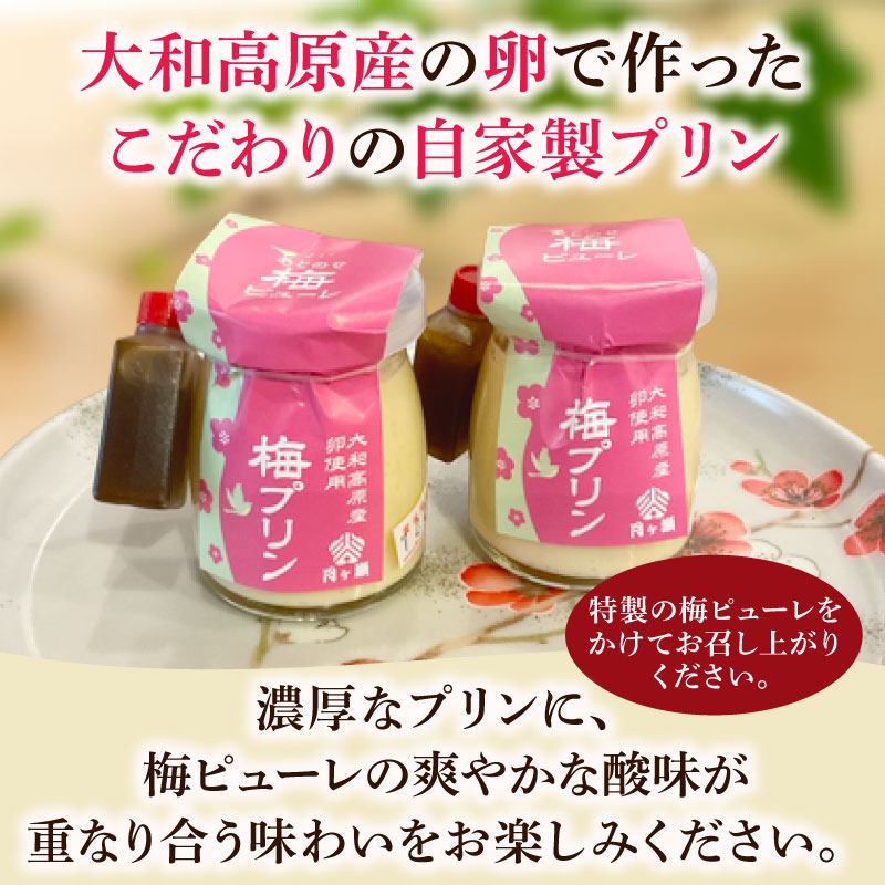 プリン 梅プリン 90g×8個入 自家製プリン スイーツ 洋菓子 デザート お菓子 おかし おやつ デザート ギフト プレゼント 贈り物 梅 うめ 大和高原産 なめらか 卵 たまご 甘い 特製