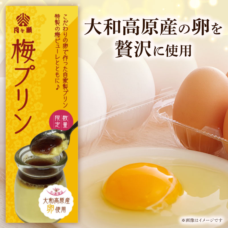 プリン 梅プリン 90g×8個入 自家製プリン スイーツ 洋菓子 デザート お菓子 おかし おやつ デザート ギフト プレゼント 贈り物 梅 うめ 大和高原産 なめらか 卵 たまご 甘い 特製