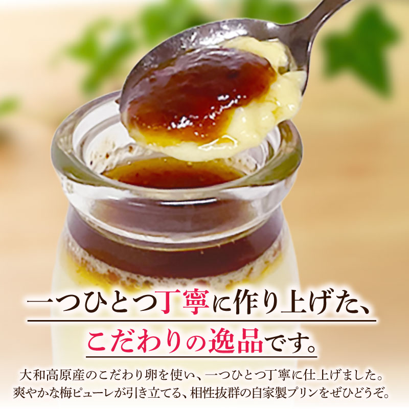 プリン 梅プリン 90g×8個入 自家製プリン スイーツ 洋菓子 デザート お菓子 おかし おやつ デザート ギフト プレゼント 贈り物 梅 うめ 大和高原産 なめらか 卵 たまご 甘い 特製