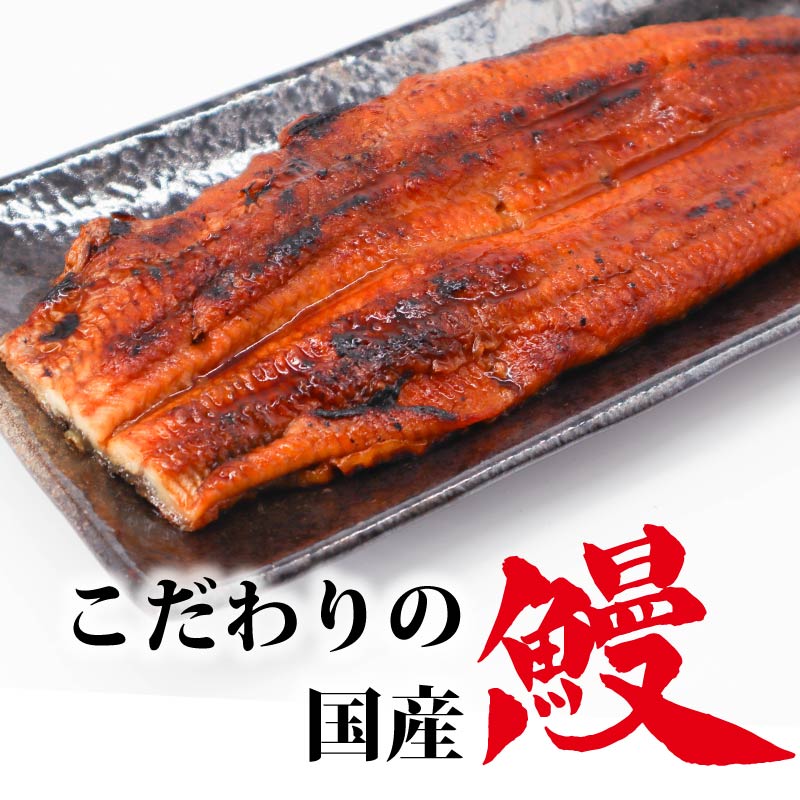 国産 うなぎの蒲焼 2～4尾 1尾約180g たれ付き 鰻 うなぎ 丑の日 魚 魚介 海鮮 肉厚 ジューシー かば焼き 蒲焼き うな重 ひつまぶし うな丼 どんぶり ごはん お米 年末年始 お取り寄せ