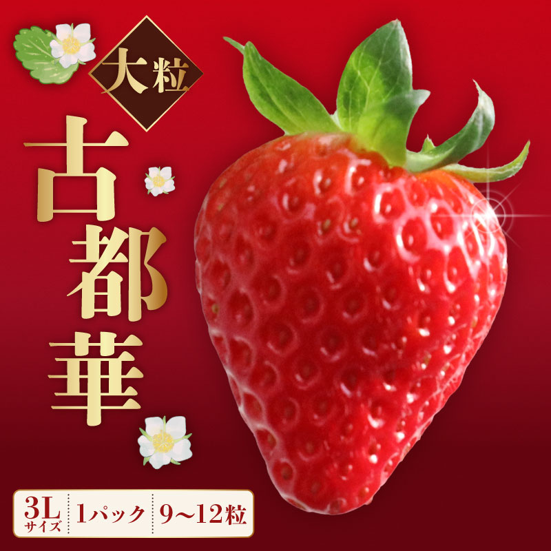 いちご ことか 大粒 9玉以上 1パック 3Lサイズ 2027年発送 古都華 化粧箱 数量限定 苺 イチゴ 季節限定 旬 フルーツ 果物 スイーツ  デザート ストロベリー 甘い ジューシー 数量限定
