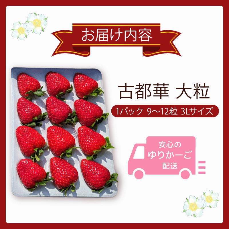 いちご ことか 大粒 9玉以上 1パック 3Lサイズ 2027年発送 古都華 化粧箱 数量限定 苺 イチゴ 季節限定 旬 フルーツ 果物 スイーツ  デザート ストロベリー 甘い ジューシー 数量限定