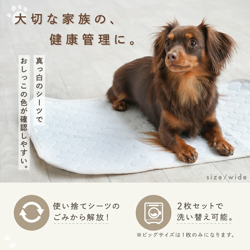洗える ペットシーツ 選べる 4サイズ 犬 ペットシート 猫 トイレマット おしっこマット 防水 防水マット 防水シート 速乾 超吸収 滑り止め 漏れ防止 大きい セット おしっこシート