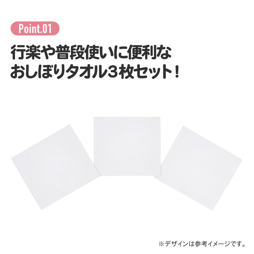 おしぼりタオル 3枚セット ディノサウルス スケーター 637667 奈良県 奈良市 skt022