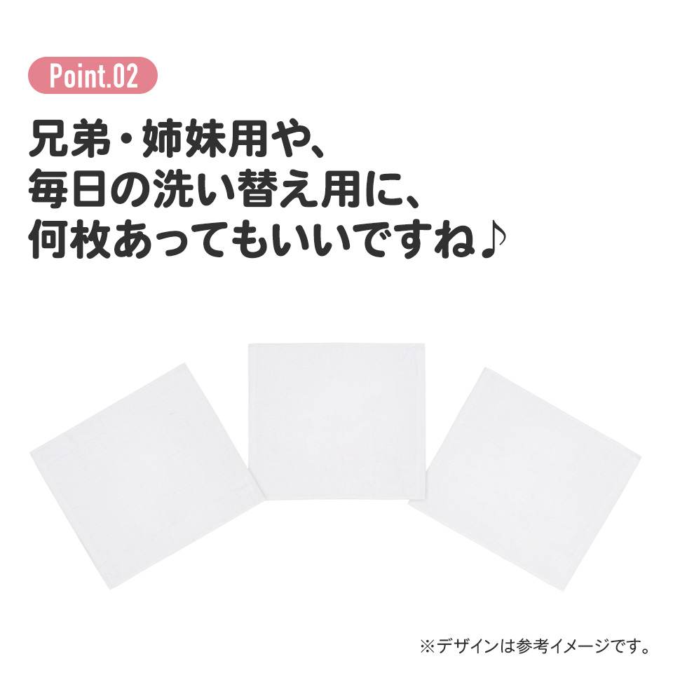 おしぼりタオル 3枚セット ディノサウルス スケーター 637667 奈良県 奈良市 skt022