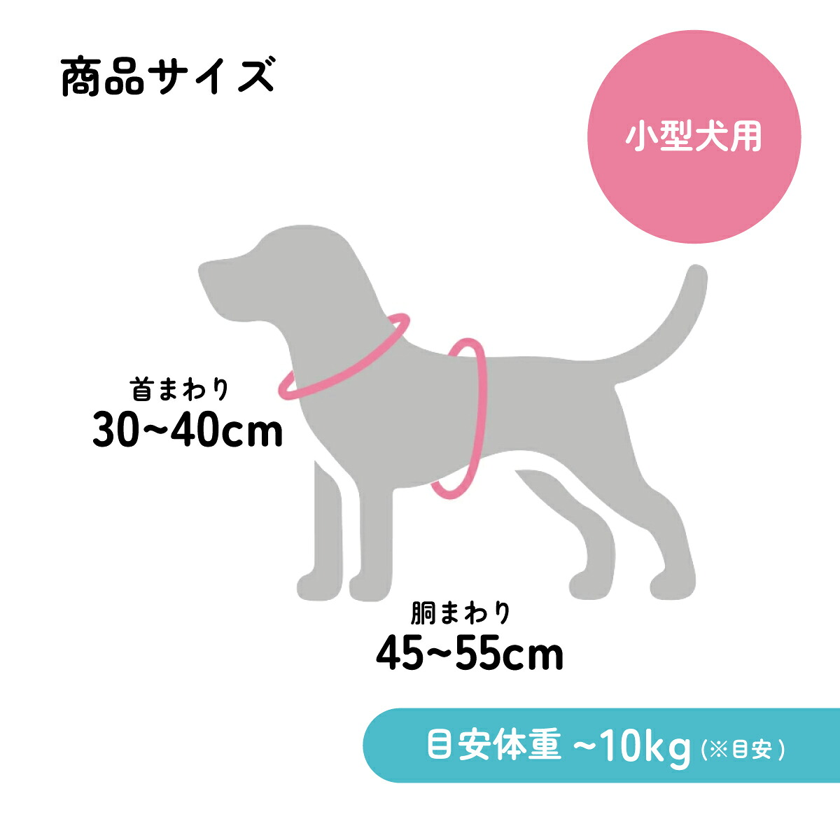 着せやすい ハーネス M 小型犬用 ペット 小型犬 散歩 さんぽ グッズ 用品 オス メス 雄 雌 わんちゃん ワンちゃん いぬ PTHV31 657627 skt192