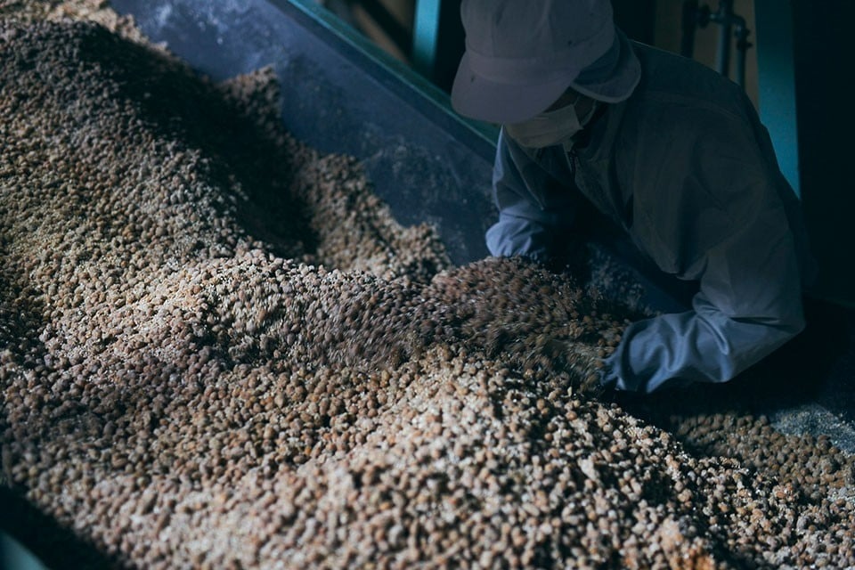 味噌 奈良 の地に根付いた 生味噌 五徳味噌 4kg 樽詰め 赤味噌 京畿 大和 山城 摂津 河内 泉 地方 に古くから伝わる 多糀 自然醸造 酒精無添加 米 大豆 国産大豆 国産米 イゲタ