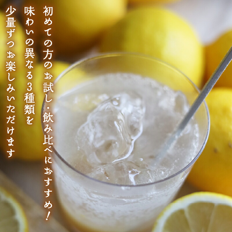 ジンジャーシロップ 3本セット 飲み比べ シロップ ジンジャー 生姜 ドリンク 飲み物 お湯 炭酸 ソーダ ミルク 牛乳 ヨーグルト デザート 奈良県 奈良市