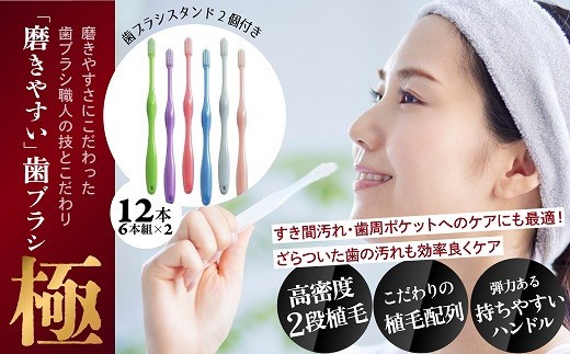 AB-89.磨きやすい歯ブラシ【極】LT-53 ふつう　12本