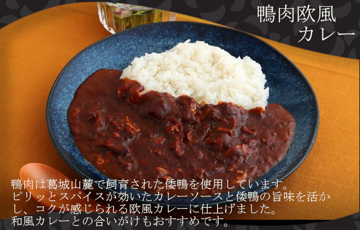 葛城高原ロッジ 鴨肉カレー詰め合わせ(和風・欧風) / 葛城山麓 かも鍋 倭鴨 カレー 中辛 ごせブランド 奈良県 御所市【kngu0003】