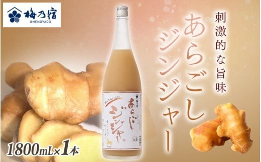 梅乃宿 あらごしジンジャー 1800ml