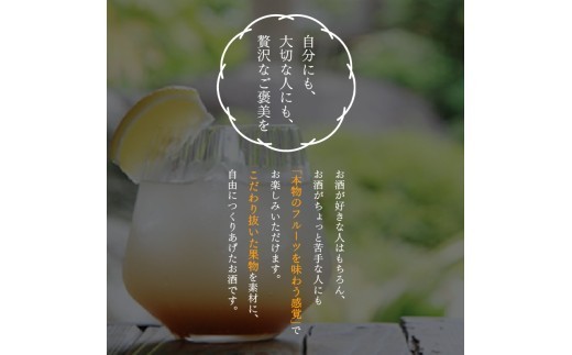 あらごしシリーズと梅酒720ｍl 12本 セット ／ 梅乃宿酒造 お酒 リキュール ギフト 人気 メーカー直送 みっく酒 ゆず みかん れもん もも りんご ジンジャー 奈良県 【umyd028A】