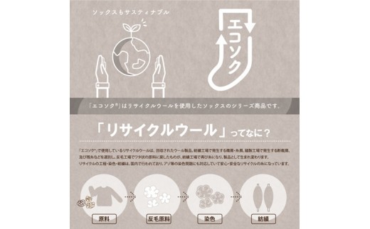 エコソク 足袋タイプ 3足組 （ナチュラルカラー） レディース ／ 靴下 ソックス 足袋 ウール 暖かい 奈良県 葛城市【mika050】