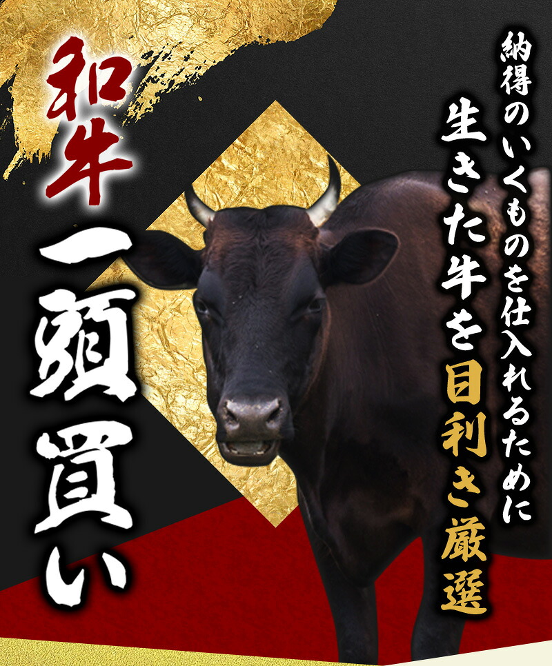 尾呂志屋精肉店の和牛サーロイン ステーキ用 1枚(約300g)【1か月以内に順次発送】 / 和牛 ステーキ 牛肉 牛 精肉 【ors012A】