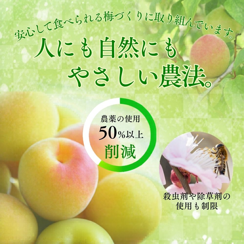 梅干し 無添加 訳あり はちみつ梅干 1kg(500×2) 紀州梅香 / 塩分6% 和歌山 梅干し 紀州南高梅 南高梅 梅干 梅 うめ 肉厚 お米 おにぎり 焼酎【baiko001A】
