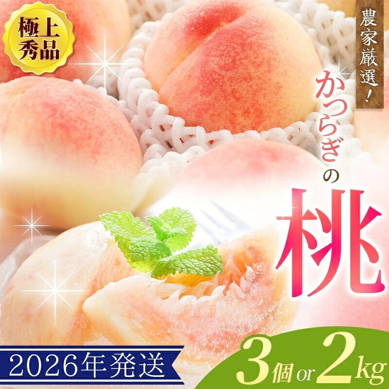 【先行予約】【厳選】あふれる果汁で口いっぱい！ 食べきりサイズ 和歌山県産 桃 3玉 2kg 【2026年6月末頃～2026年8月末頃に順次発送予定】（お届け日指定不可）【kgr002】【kgr001B】