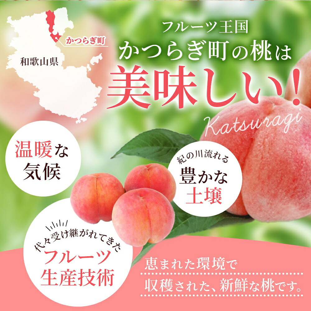 【先行予約】【厳選】あふれる果汁で口いっぱい！ 食べきりサイズ 和歌山県産 桃 3玉 2kg 【2026年6月末頃～2026年8月末頃に順次発送予定】（お届け日指定不可）【kgr002】【kgr001B】