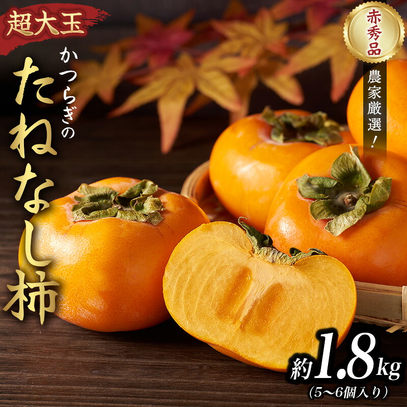 【2026年先行予約】柿 種無し 赤秀品 超大玉 約1.8kg 5~6個 【2026年9月末頃~10月末頃に順次発送予定(お届け日指定不可)】/ 和歌山 柿 かき フルーツ【kgr003A】