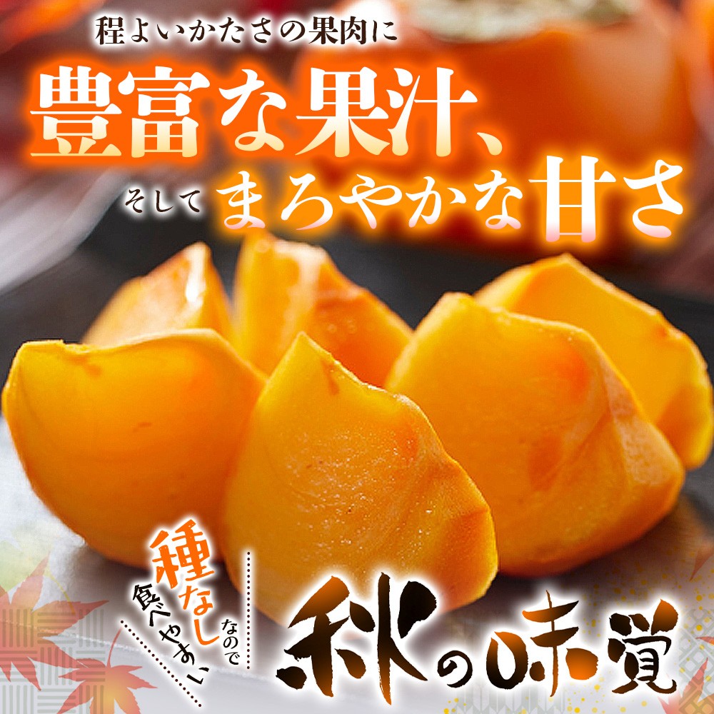【2026年先行予約】柿 種無し 赤秀品 超大玉 約1.8kg 5~6個 【2026年9月末頃~10月末頃に順次発送予定(お届け日指定不可)】/ 和歌山 柿 かき フルーツ【kgr003A】