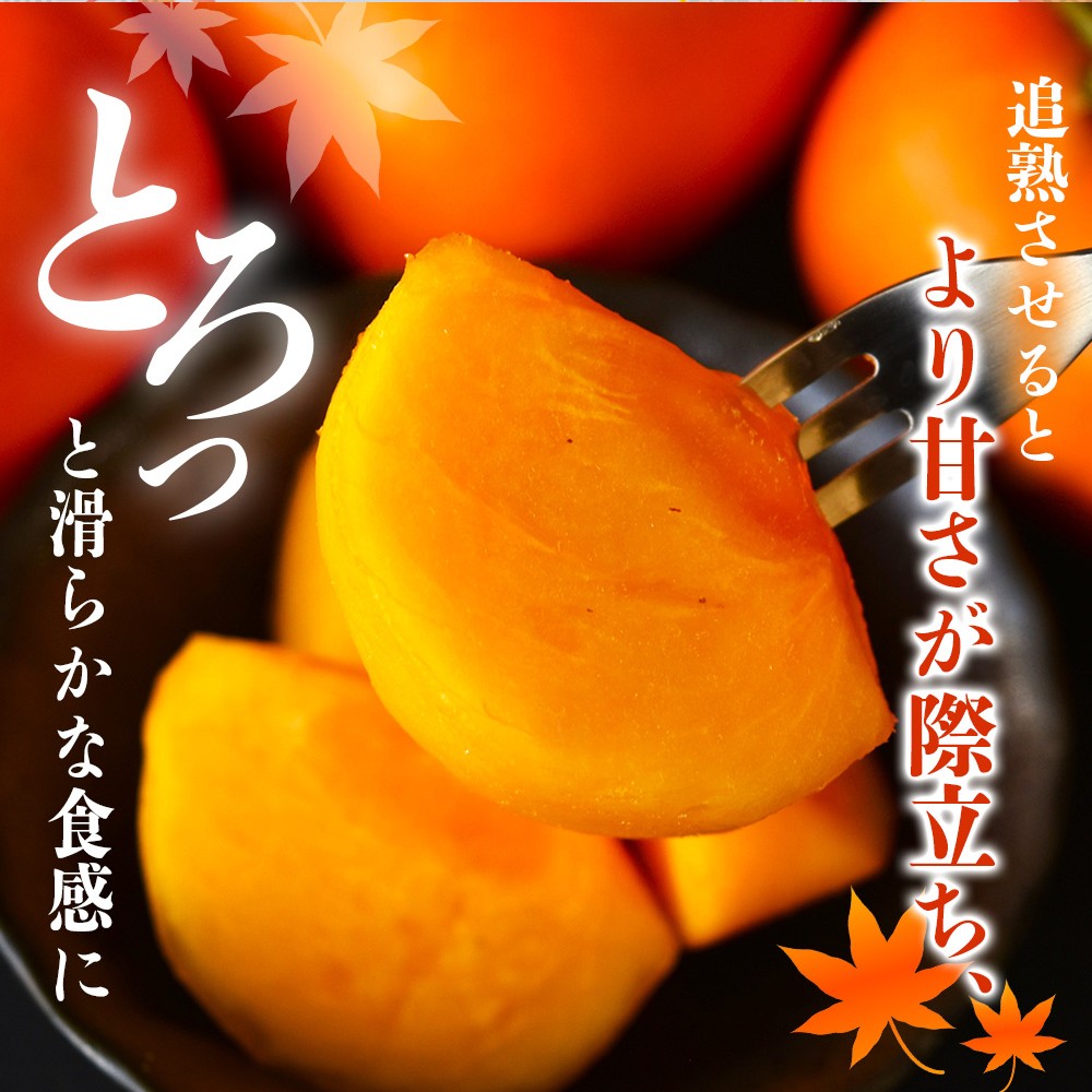 【2026年先行予約】柿 種無し 赤秀品 超大玉 約1.8kg 5~6個 【2026年9月末頃~10月末頃に順次発送予定(お届け日指定不可)】/ 和歌山 柿 かき フルーツ【kgr003A】