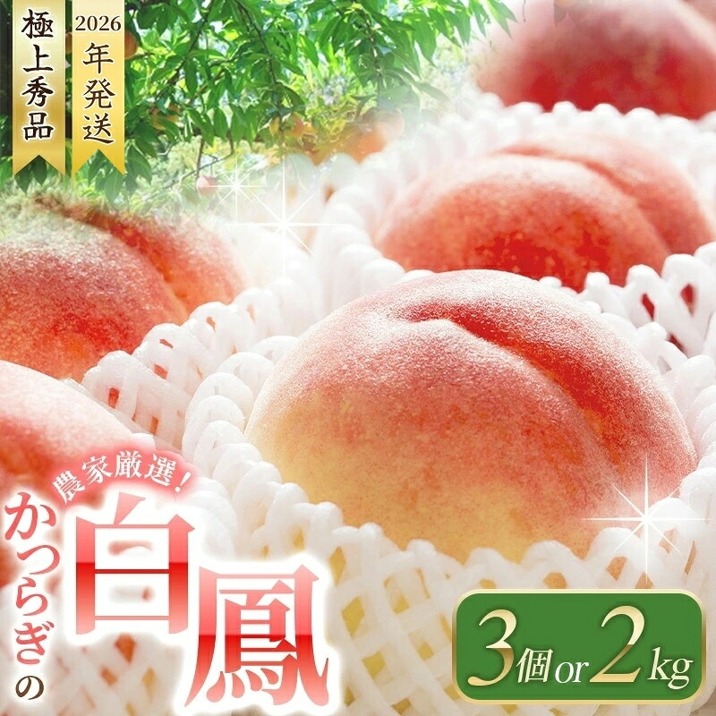 【容量が選べる】白鳳 特秀品 【3玉 or 約2kg（6個～9個）】 【2026年6月末頃～7月末頃に順次発送】【kgr010】【kgr009B】
