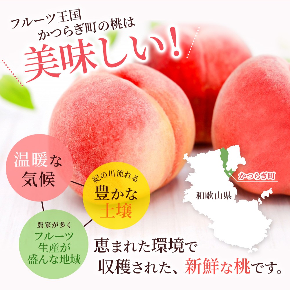 【容量が選べる】白鳳 特秀品 【3玉 or 約2kg（6個～9個）】 【2026年6月末頃～7月末頃に順次発送】【kgr010】【kgr009B】
