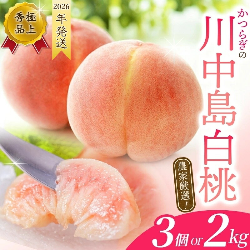 【予約受付】こだわり農家厳選 川中島白桃 和歌山産の桃 大玉特秀品 嬉しい食べきり容量 3玉~9玉 【2026年7月末頃~2026年8月末頃に順次発送予定】(お届け日指定不可)【kgr012】【kgr011B】