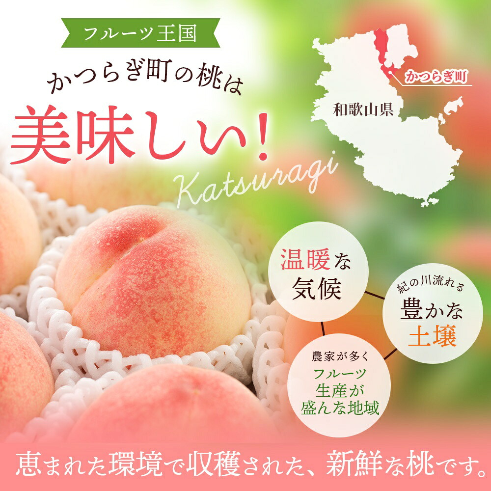 【予約受付】こだわり農家厳選 川中島白桃 和歌山産の桃 大玉特秀品 嬉しい食べきり容量 3玉~9玉 【2026年7月末頃~2026年8月末頃に順次発送予定】(お届け日指定不可)【kgr012】【kgr011B】