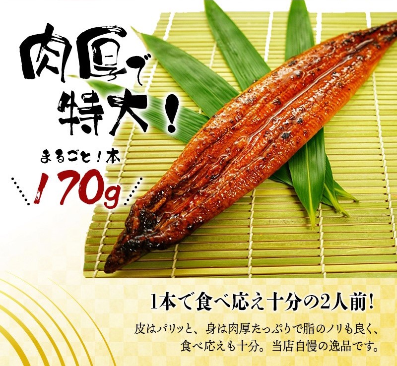 【大型サイズ】ふっくら柔らか 国産うなぎ蒲焼き 2尾/うなぎ ウナギ 鰻 うなぎ蒲焼 国産【uot302A-3】