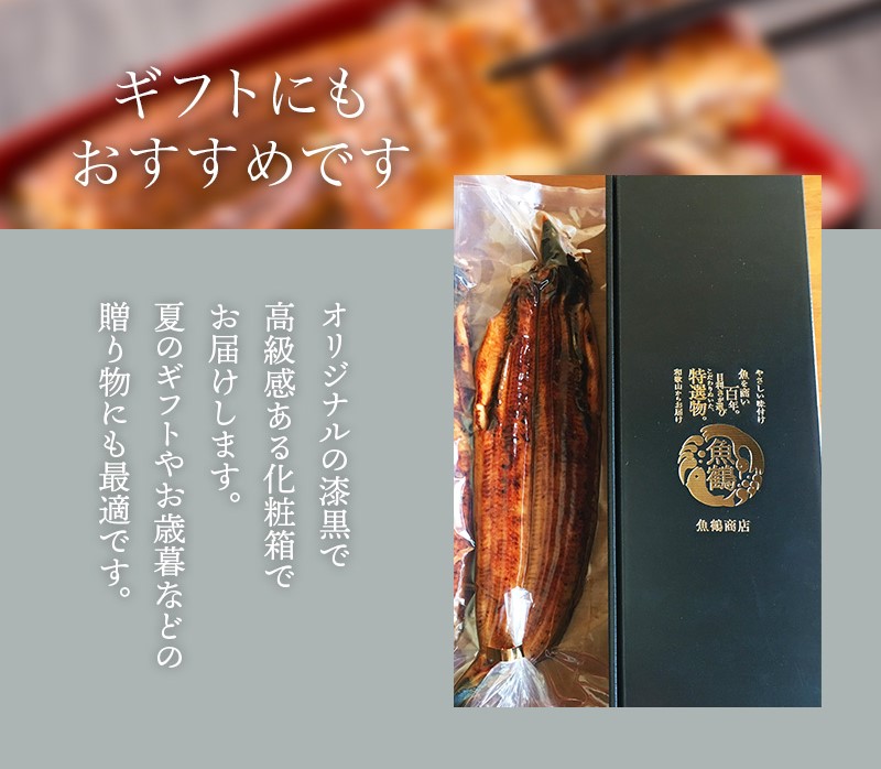 【大型サイズ】ふっくら柔らか 国産うなぎ蒲焼き 2尾/うなぎ ウナギ 鰻 うなぎ蒲焼 国産【uot302A-3】
