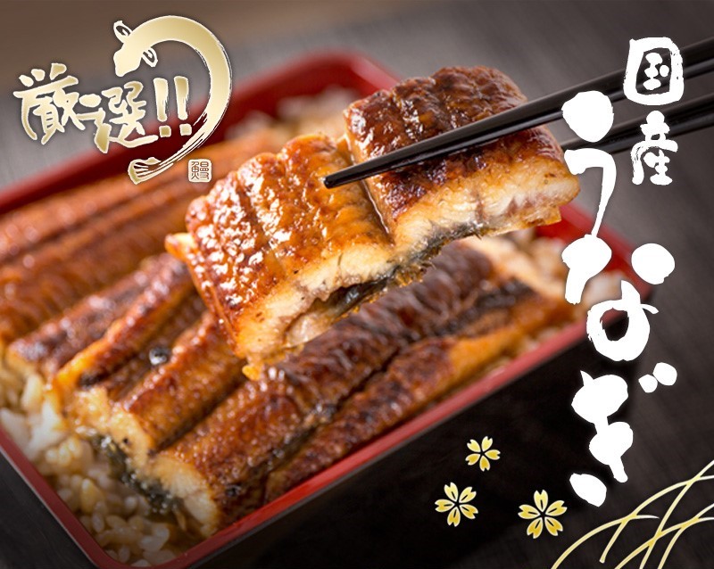 【大型サイズ】ふっくら柔らか 国産うなぎ蒲焼き 3尾/うなぎ ウナギ 鰻 うなぎ蒲焼 国産【uot303A-3】