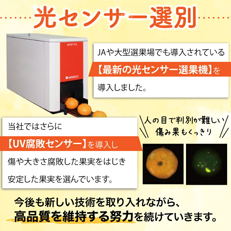 濃厚な味わい ご家庭用 ゆら早生みかん サイズ混合 希少品種《有機質肥料100％》※2026年10月～11月に順次発送予定【nuk143E】【nuk162B】【nuk109F】【nuk002F】【nuk110D】