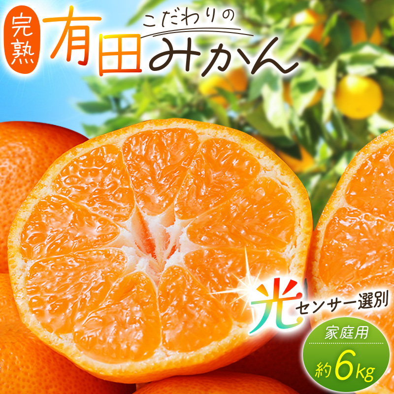 ご こだわりの有田みかん 約6kg+150g