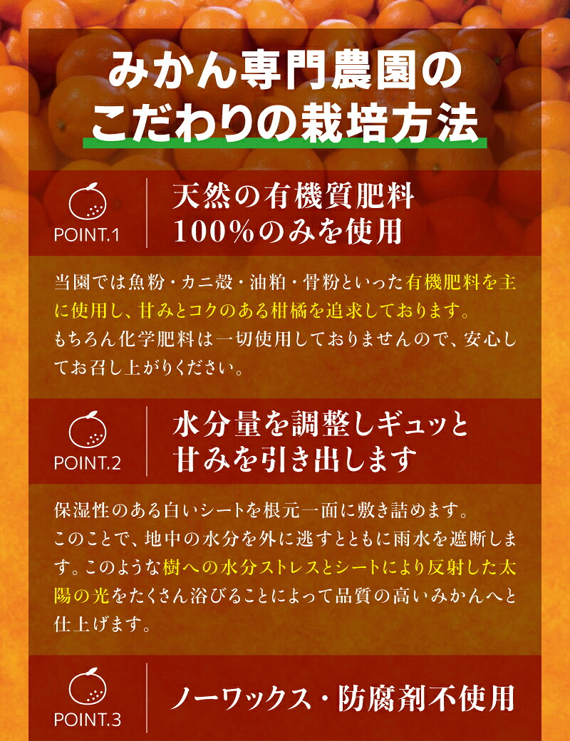【農家直送】有田みかん 大玉3L以上 約7.5kg/約10kg 有機質肥料100% ※2026年11月～12月に順次発送予定(お届け日指定不可)【nuk139F】【nuk158D】