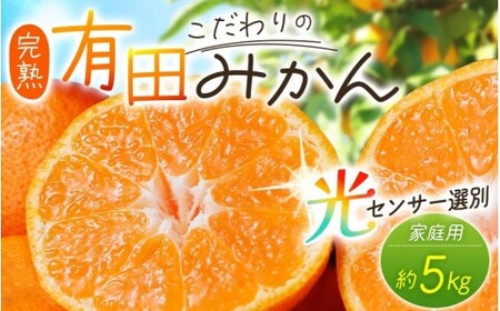 \光センサー選別 農家直送 こだわりの有田みかん