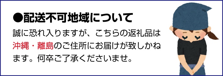 【先行予約】旬の梨(幸水ー豊水ーあきづき) 極上秀品（中玉～大玉）6～8個入り 2026年8月中旬～9月中旬に順次発送予定（お届け日指定不可）/ 和歌山 梨 フルーツ 果物 くだもの【kgr015】