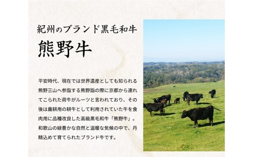 熊野牛 A4以上 霜降り ロース スライス 400g / ロース スライス 霜降り 熊野牛 A4 すき焼き しゃぶしゃぶ【uot765A】