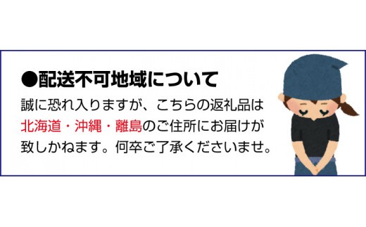 フレッシュブリフィレ 1枚入り※2025年11月上旬~2026年4月上旬頃に順次発送予定 ※北海道・沖縄・離島への配送不可/ ブリ ブリフィレ 鯛 魚 冷蔵 おかず 魚 お魚 魚介【hne001】