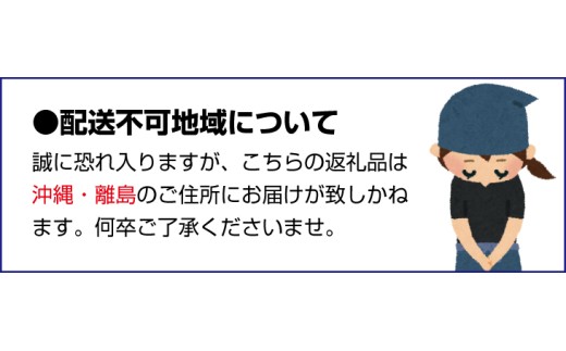 松葉屋の大納言琥珀 天の川 16個入り / 和菓子 大納言 小豆 【nby001】