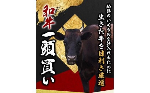 尾呂志屋精肉店の和牛 すじ肉 500g 【1か月以内に順次発送】 /  和牛 すじにく すじ肉 スジ肉 牛肉 牛 精肉 【ors007】