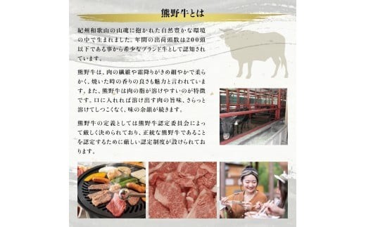 希少和牛 熊野牛サーロインステーキ 約200g×3枚 <冷蔵> ステーキ 焼肉 牛肉【sim112A】